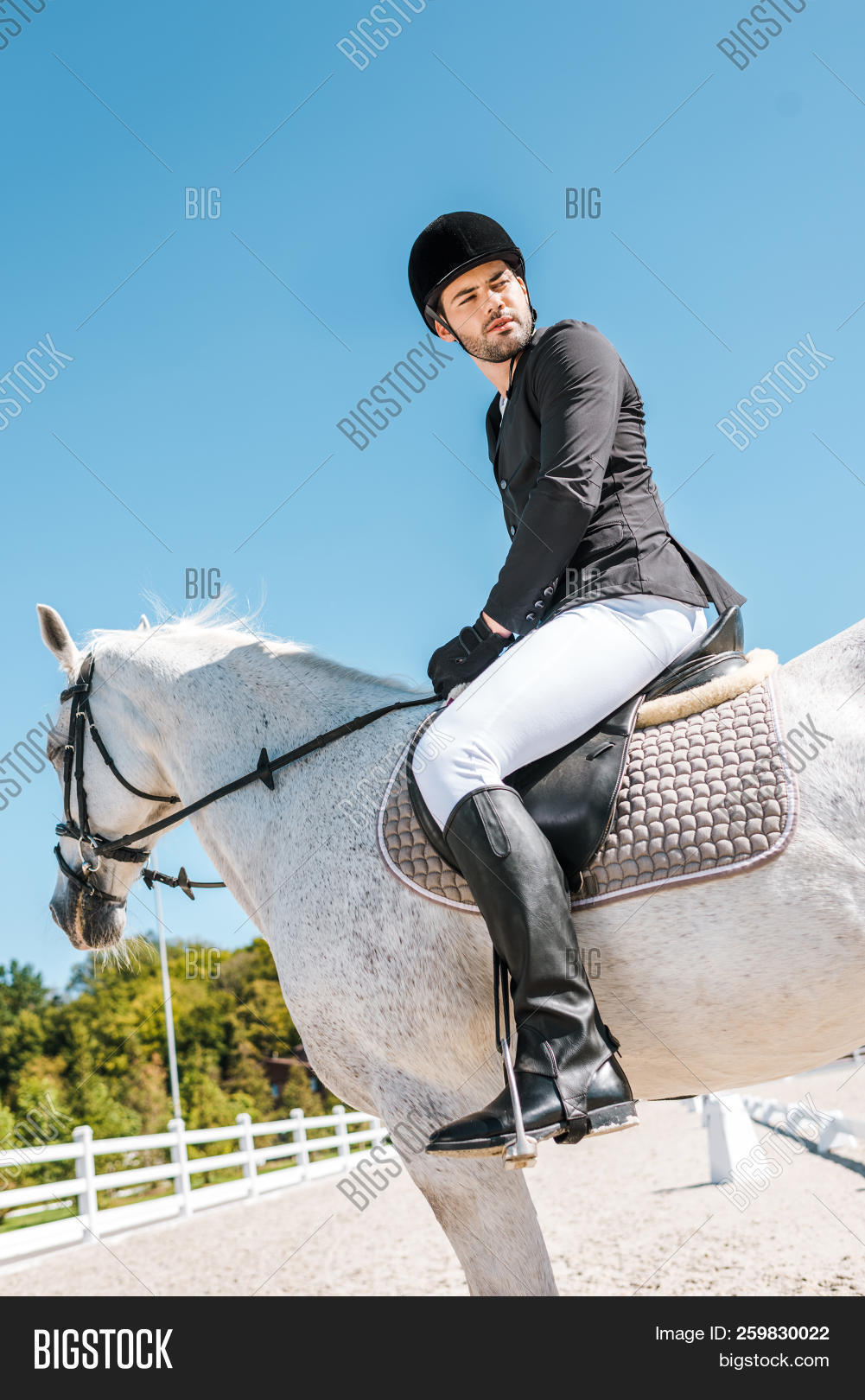 adult,alone,animal,apparel,black,blue,breeches,breed,bridle,caucasian,club,equestrian,equine,handsome,harness,helmet,hobby,horse,horseback,jacket,jockey,male,mammal,man,occupation,outdoors,people,person,profession,professional,ranch,ride,rider,riding,side,sitting,sky,sport,stable,stallion,stylish,thoroughbred,uniform,view,young