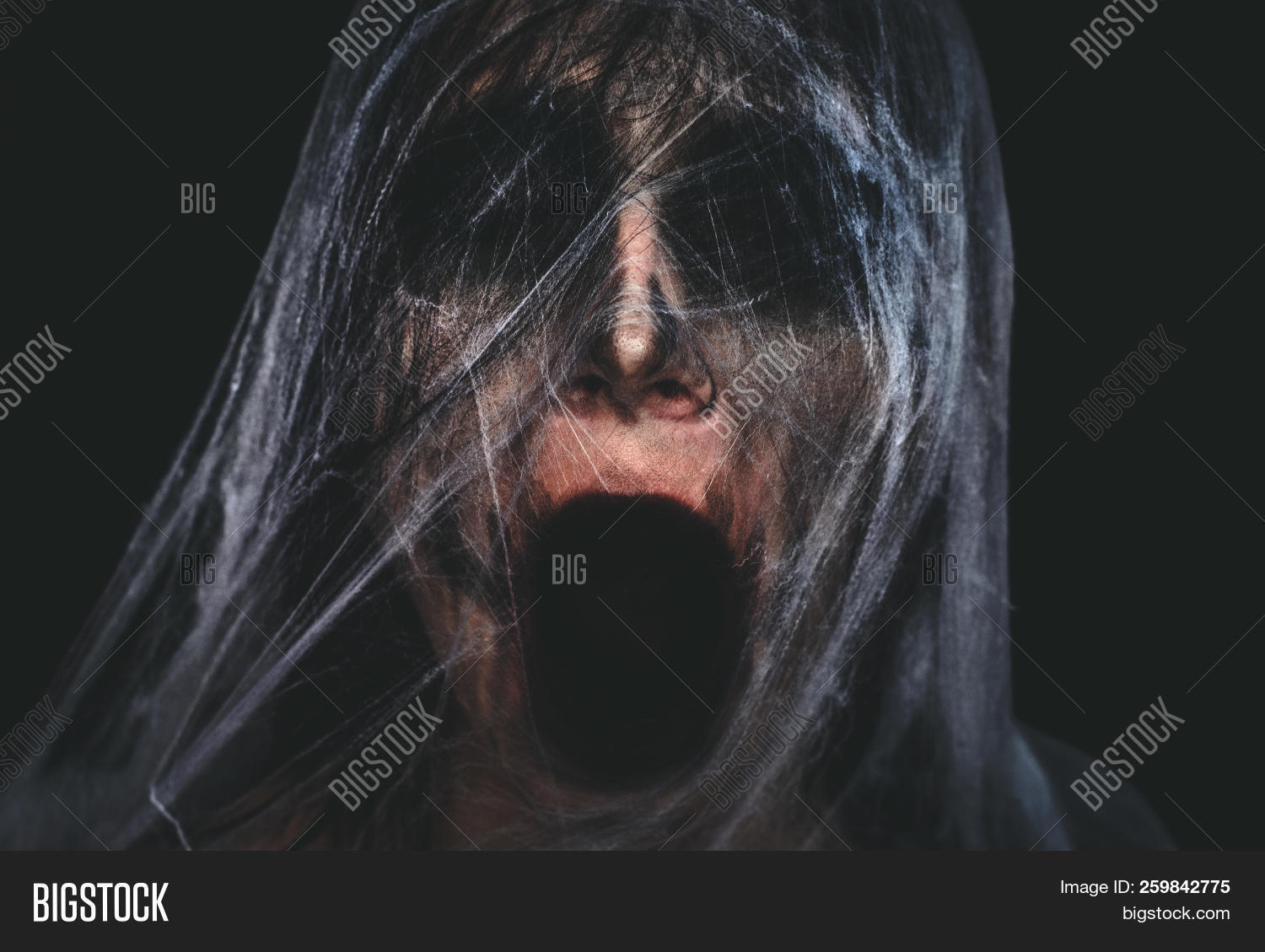 background,black,character,cinema,cobweb,concept,copy,creature,creepy,dark,darkness,expression,face,fantastic,fear,female,film,halloween,horror,makeup,monster,mouth,movie,mummy,mystic,net,nightmare,opened,person,portrait,possessed,poster,scary,scream,screaming,space,spider,spiderweb,spooky,supernatural,thriller,web,white,woman