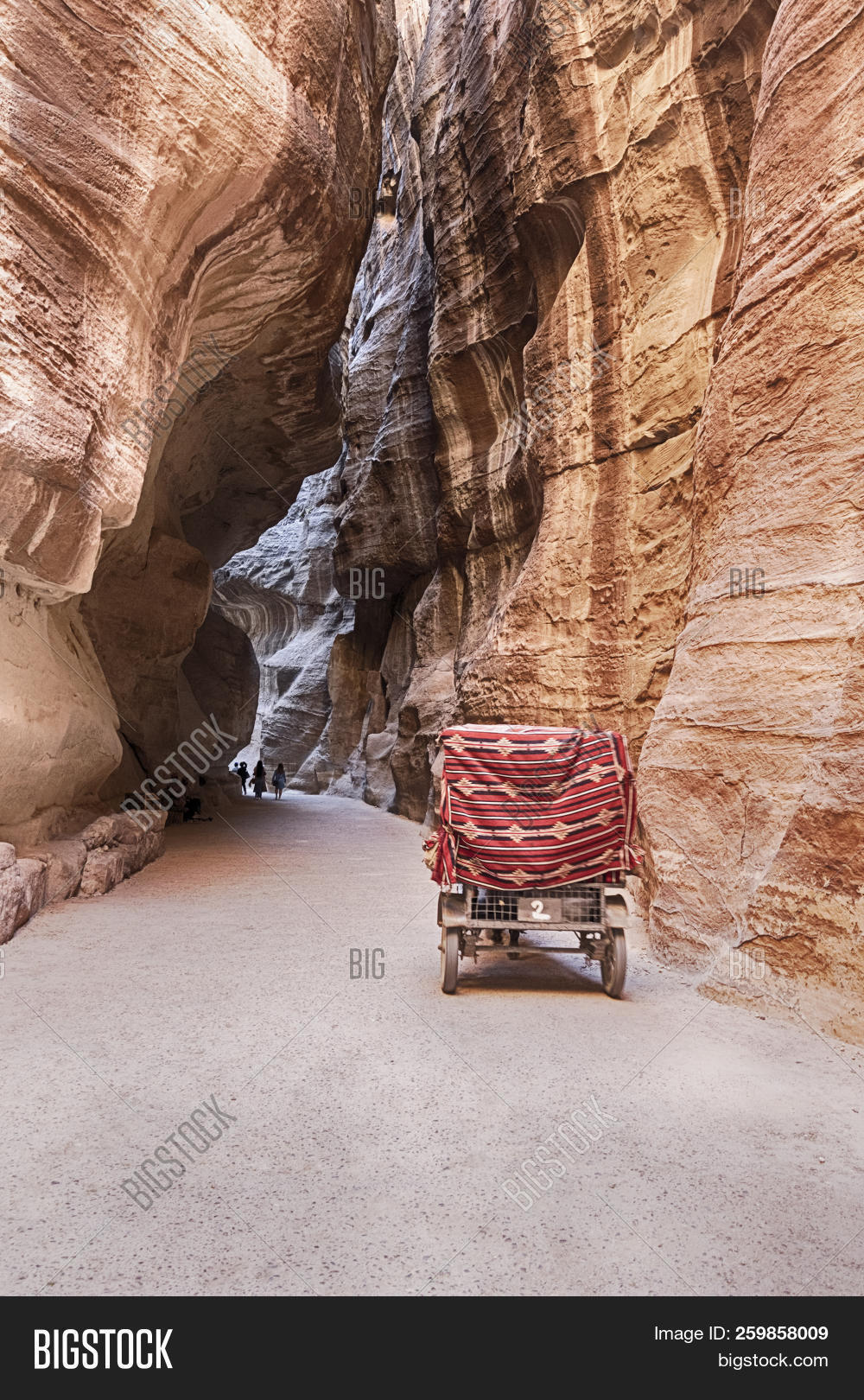 Al-Batra,East,Jordan,Middle,Nabatea,Petra,Raqmu,Thaniya,UNESCO,ancient,archeology,blanket,canyon,carriage,cart,cliff,color,desert,destination,historic,horizontal,horse,image,landmark,landscape,location,narrow,natural,nature,no,nobody,outdoors,people,person,road,sandstone,scenic,siq,slit,stone,tourism,transport,transportation,travel,vertical,walkway
