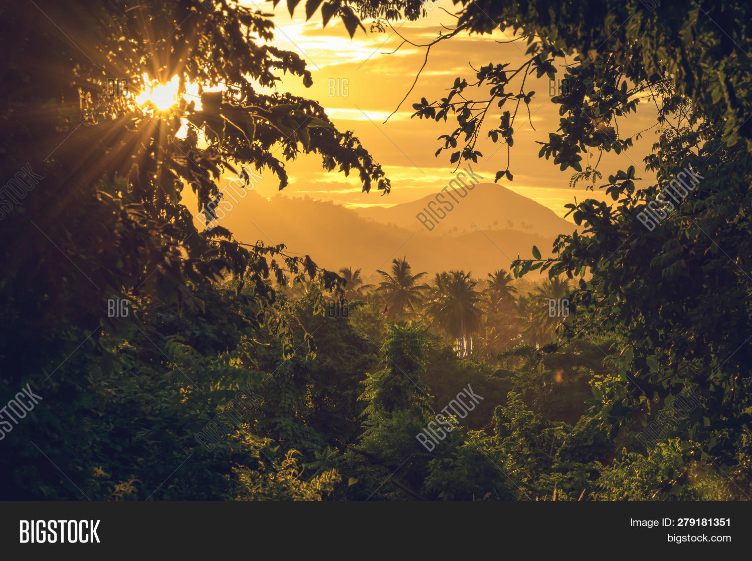 background,bright,climate,coconut,daylight,dominican,environment,flora,flow,foliage,forest,green,jungle,landscape,leaf,light,looking,lush,motion,mountain,natural,nature,outdoor,palm,path,peaceful,rainforest,republic,rock,rural,scenery,shine,stunning,sunset,tranquil,tranquility,travel,tree,tropical,tunnel,valley,vegetation,vibrant,view,vivid,walk,walkway,water,wild