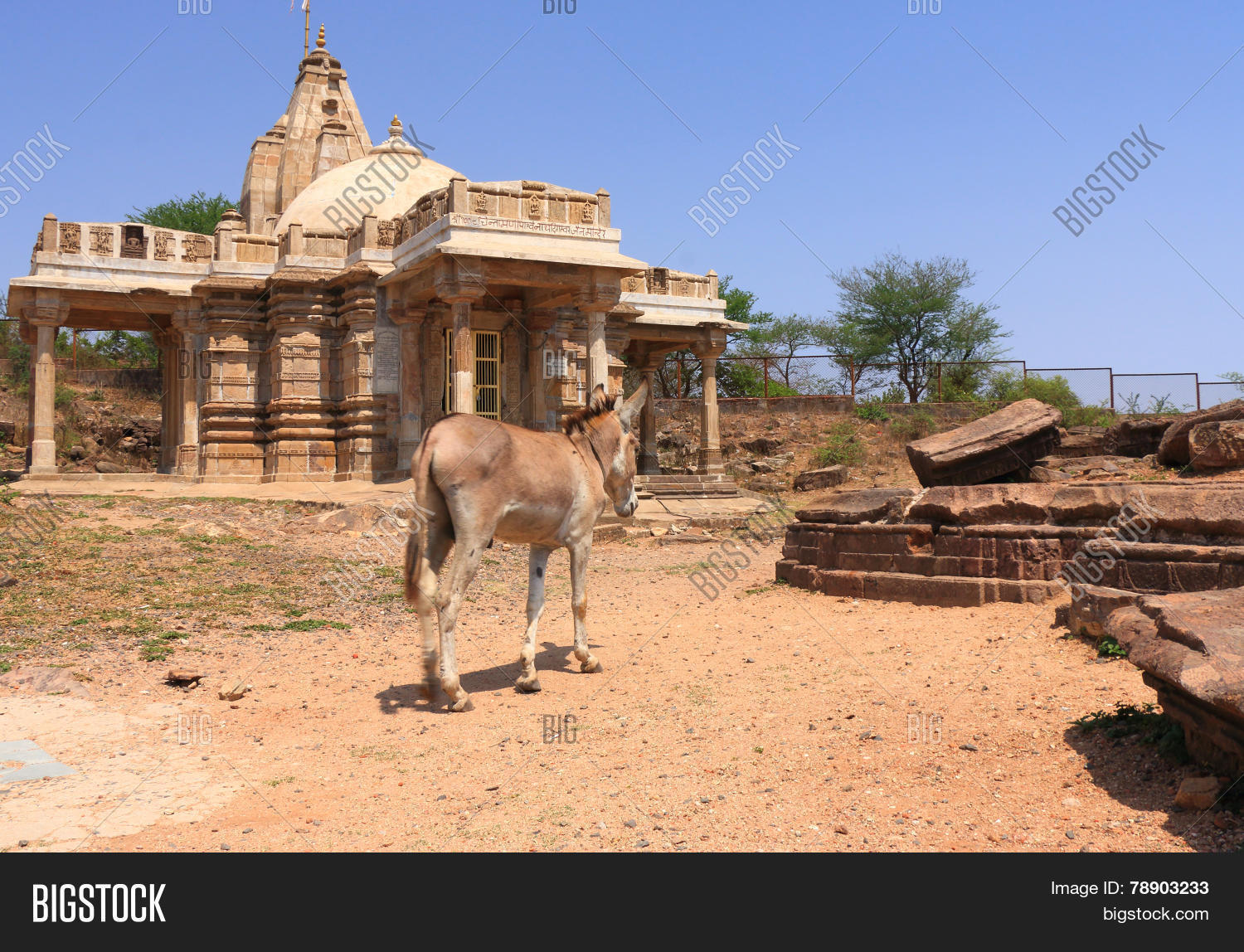 archaeological,arches,bastions,begada,carvings,champaner,district,domes,forts,gujarat,heritage,hills,historic,india,india.sultan,living,mahmud,murials,panchmahal,park,pavagadh,site,step,stone,tank,unesco,water,well,work,world