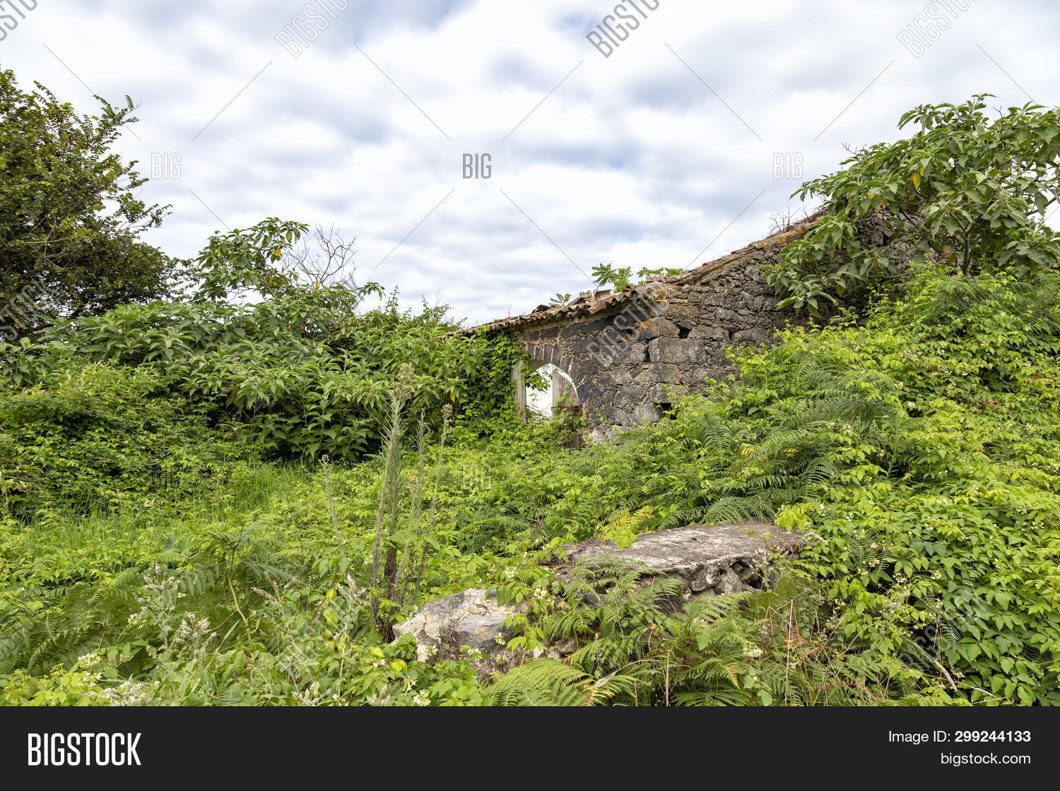 abandoned,acores,agriculture,atlantic,azores,beautiful,blue,cloud,europe,farm,field,flora,ginetes,green,historic,house,island,landmark,landscape,maize,miguel,mill,nature,old,outdoor,portugal,ruin,rural,sao,scenic,sky,summer,tourism,tourist,travel,view,village,windmill